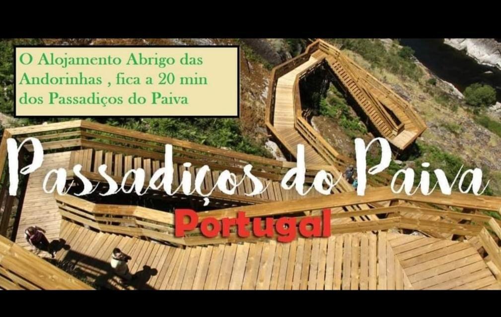 Abrigo Das Andorinhas Авейру Экстерьер фото